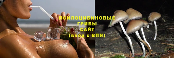 ALPHA PVP Зеленокумск