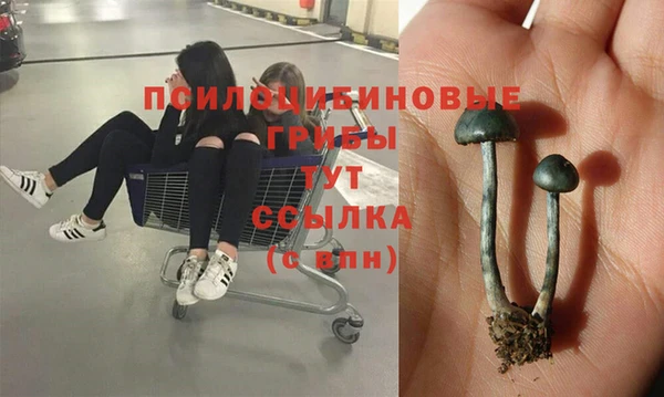 ALPHA PVP Зеленокумск