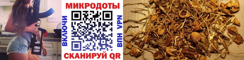 Псилоцибиновые грибы MAGIC MUSHROOMS  MEGA ТОР  Карабаново 
